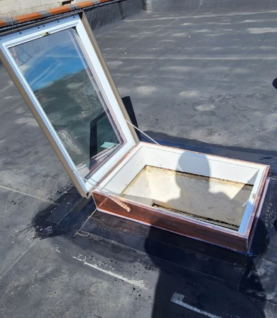 skylight Repair (1)